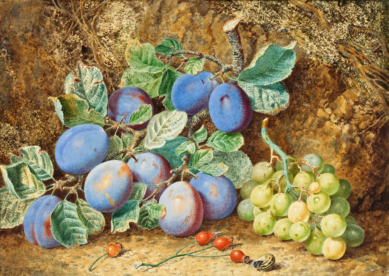 Erikler ve Üzümler, 1877 by Thomas Collier