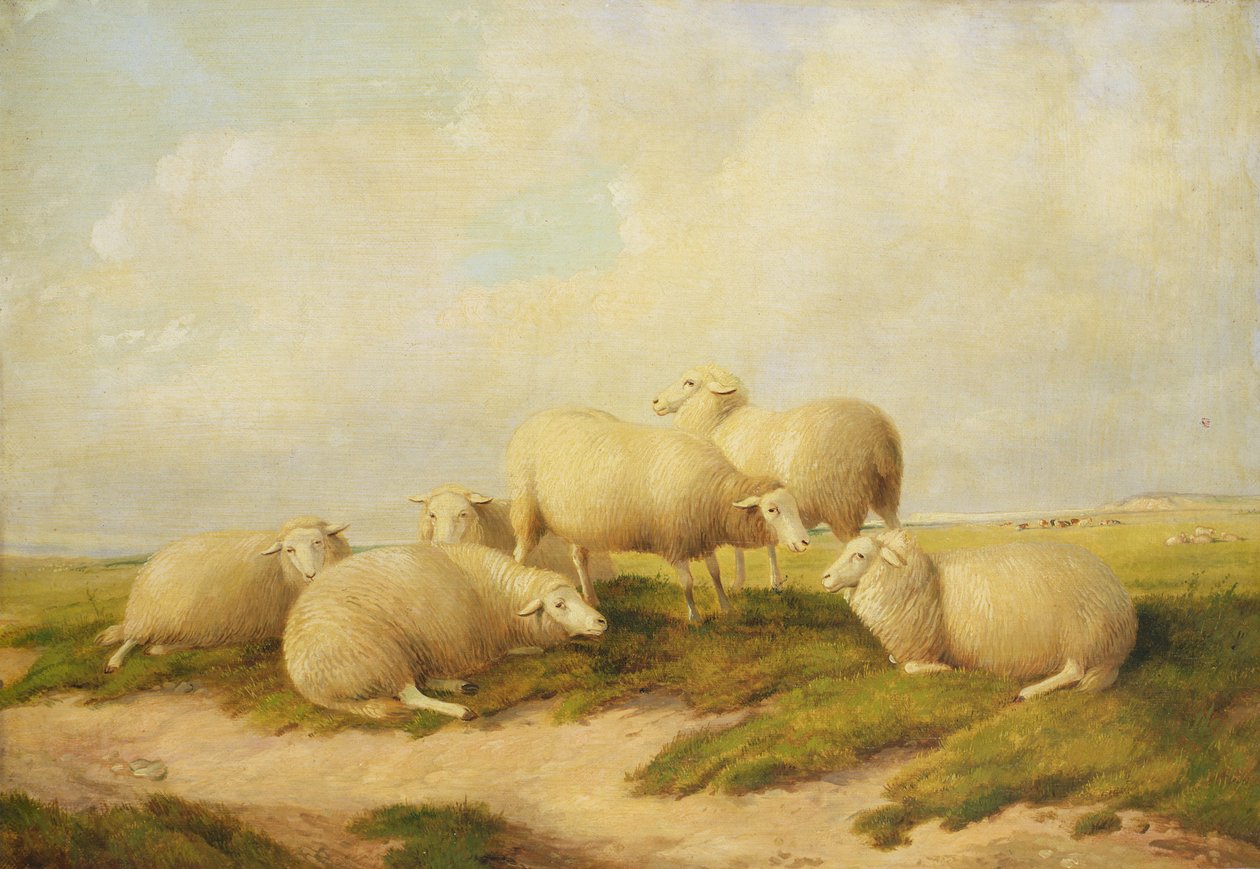 Koyun by Thomas Sidney Cooper