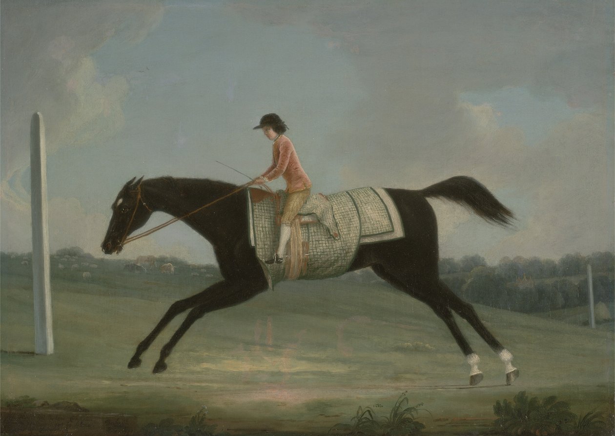 Borlase Cokayne as a Boy riding Sultana, 1751  by Thomas Smith of Derby