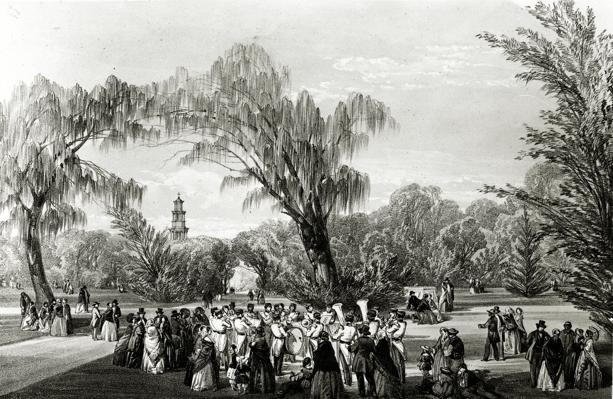 Botanik Bahçeleri, Cape Town, W. Simpson tarafından yapılan baskı, 1850