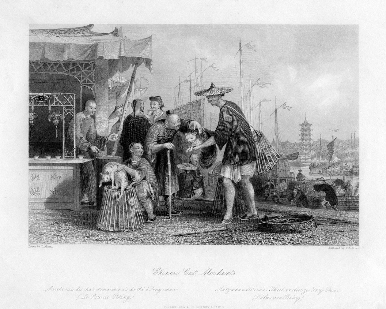 Çinli Kedi Tüccarları, 19. yüzyıl. by Thomas Abel Prior