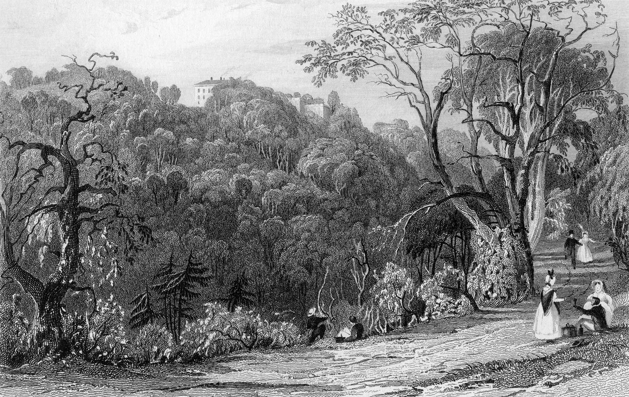 Castle Eden Hall, Durham, 1833  by Thomas Allom