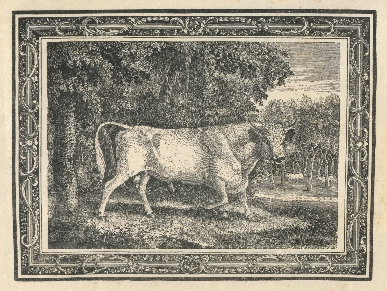 Chillingham'ın Vahşi Boğası by Thomas Bewick