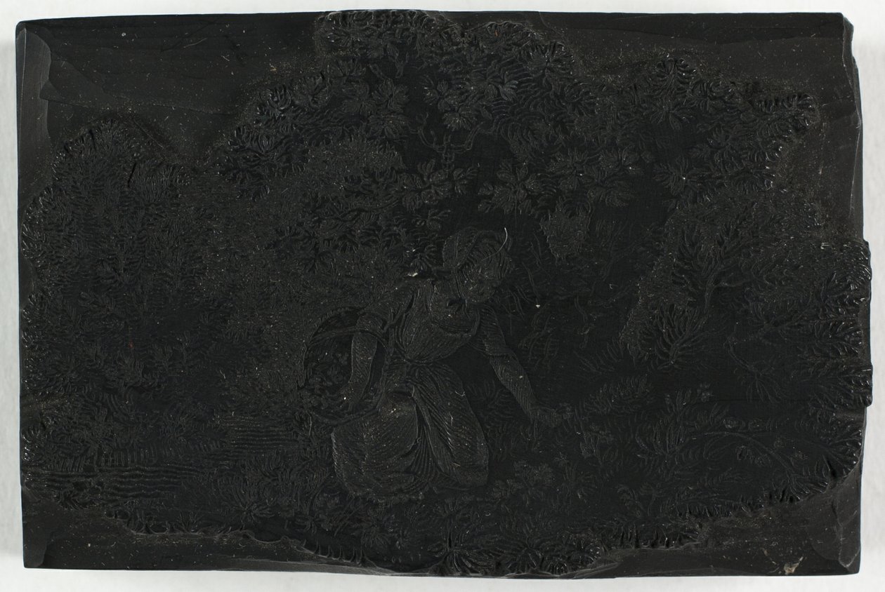 Çiçek Toplayan Kadın için Tahta by Thomas Bewick