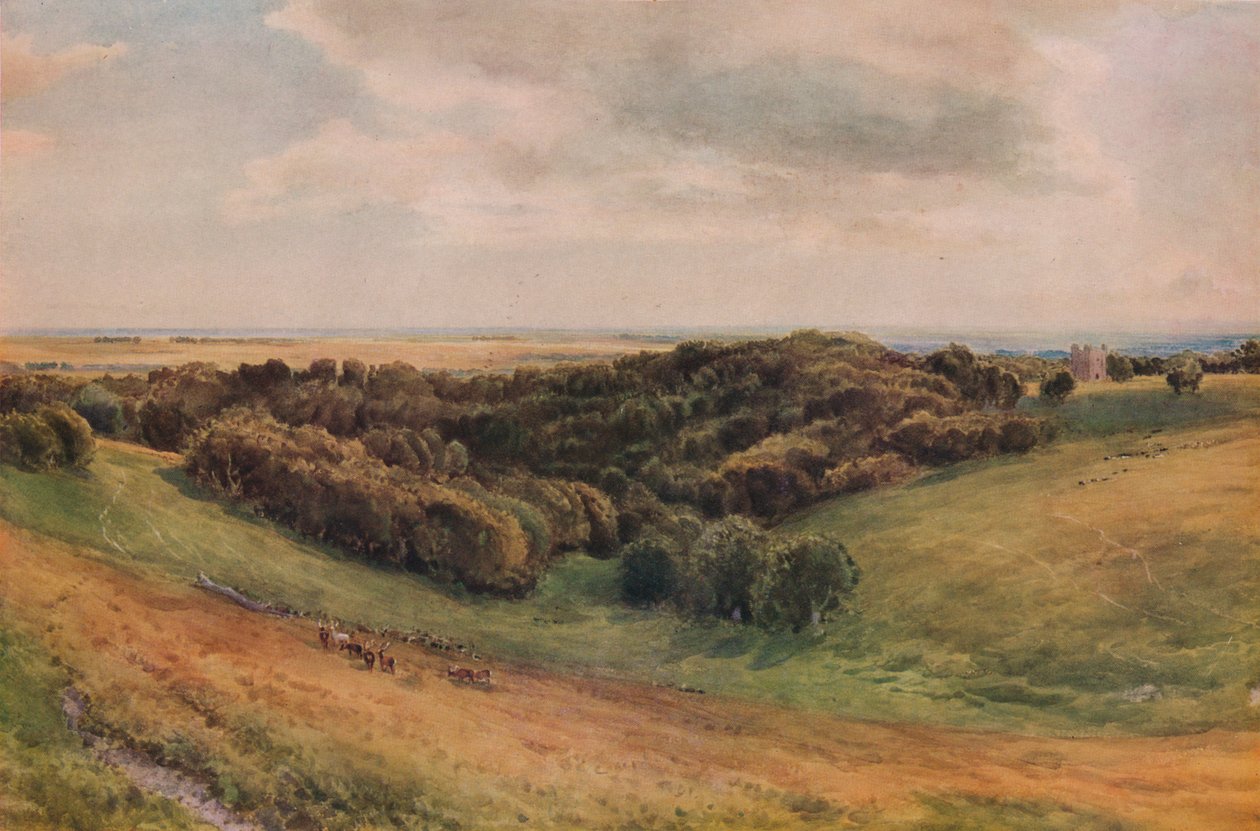 Arundel Parkı, 1874 by Thomas Collier