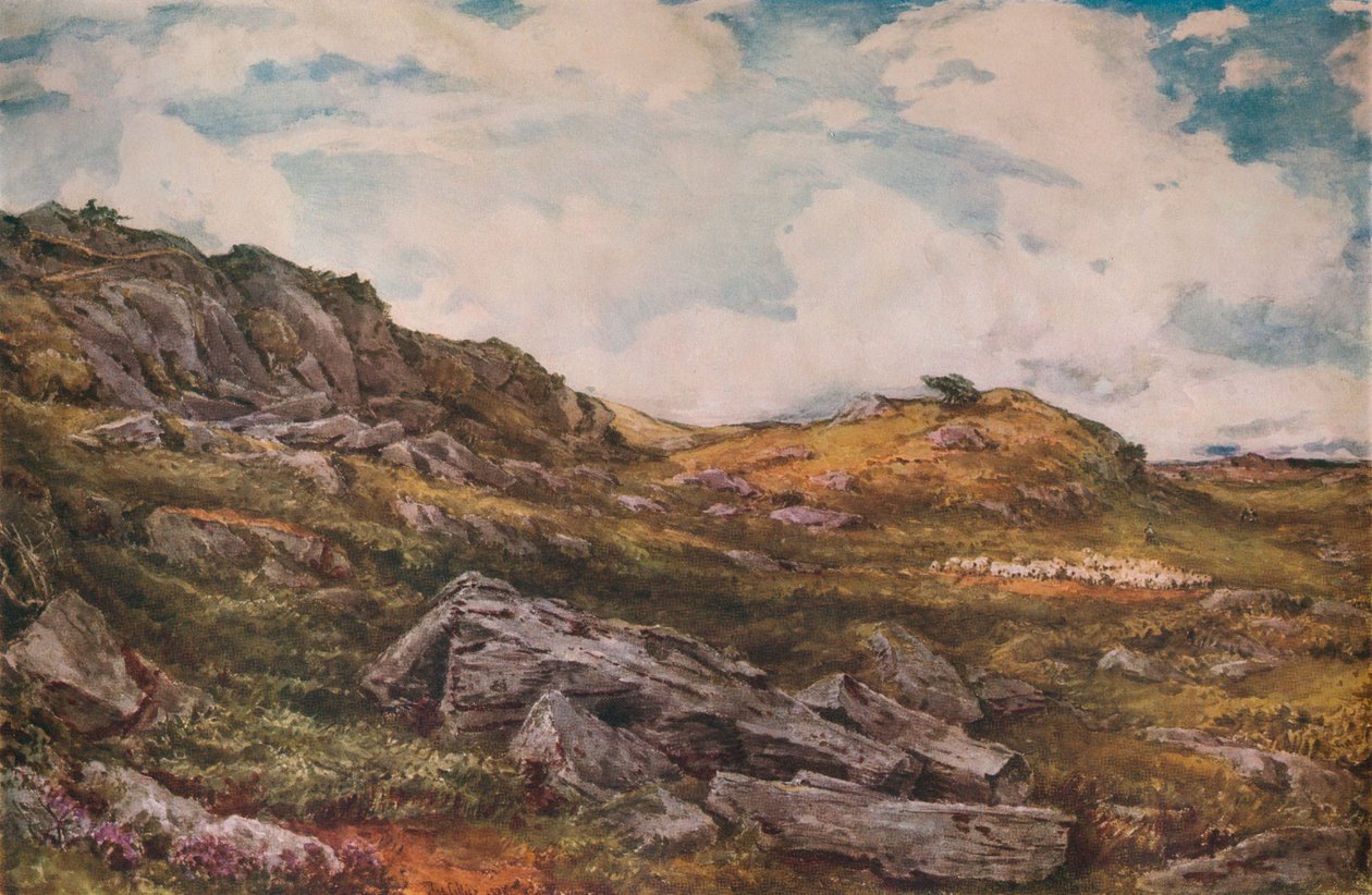 Blythburgh Ortak, 1888 by Thomas Collier