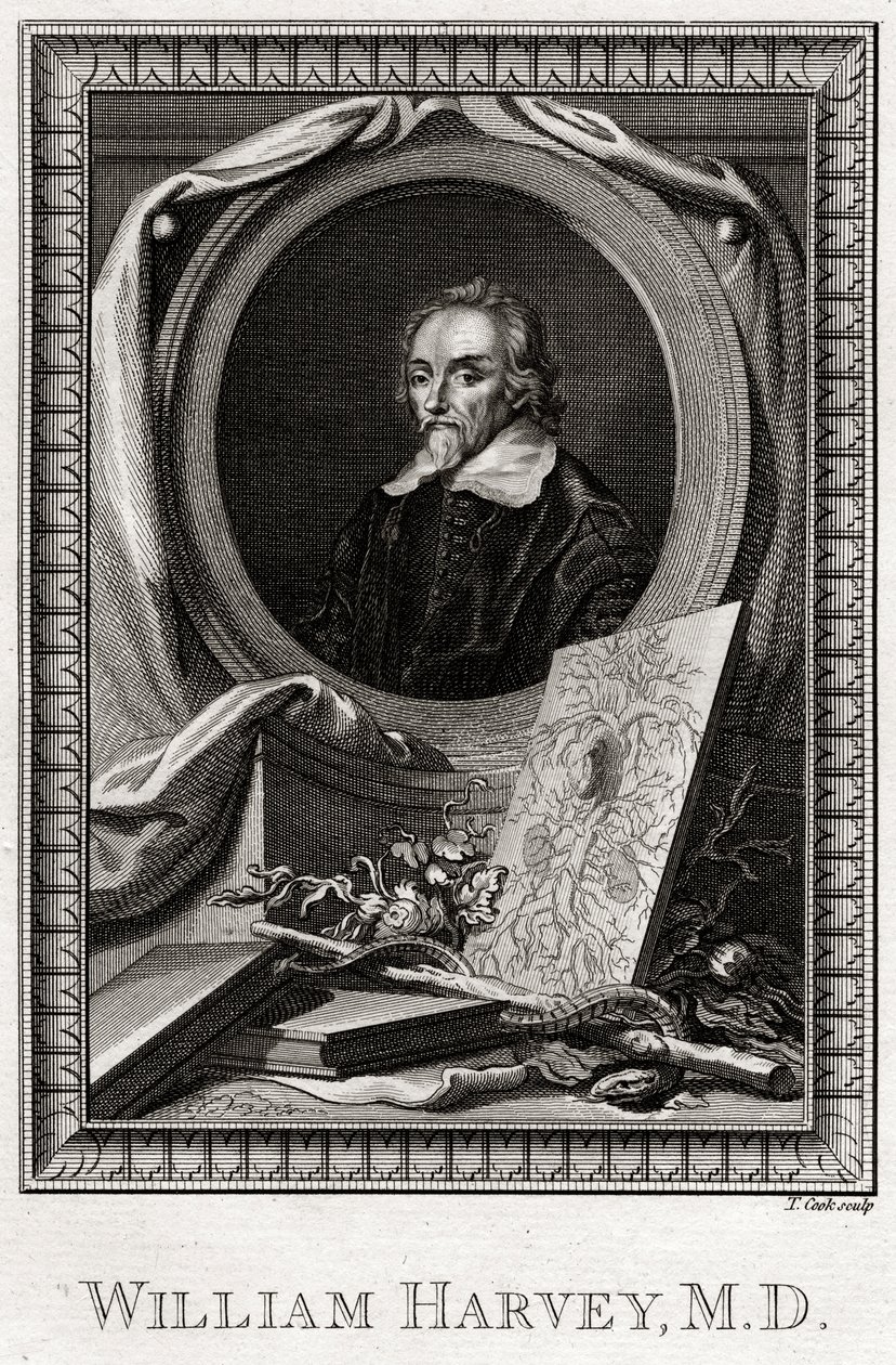 William Harvey, 1777 by Thomas Cook