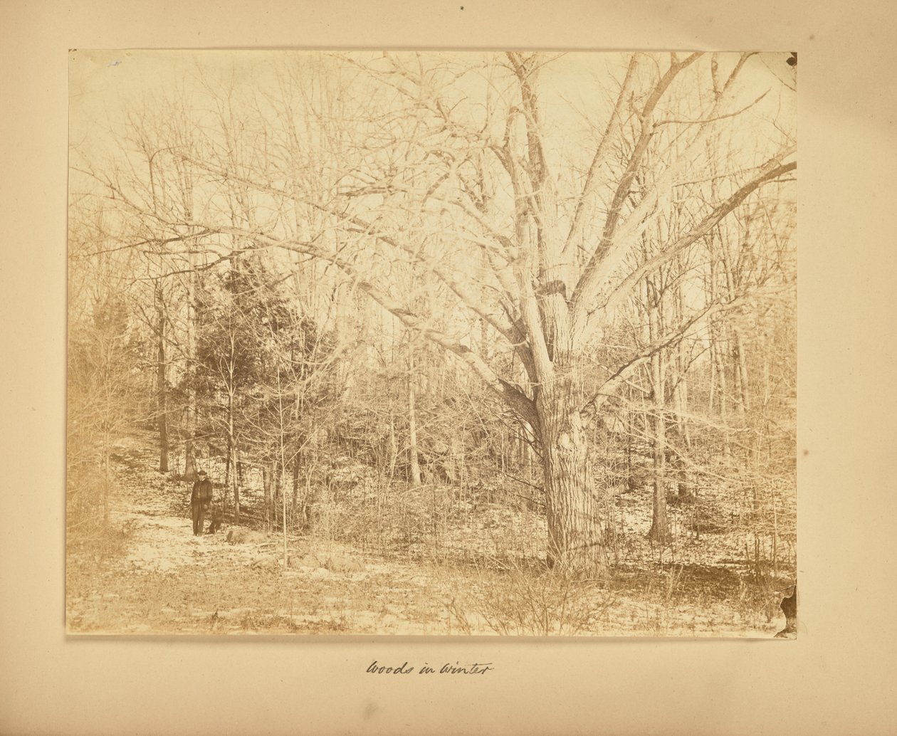  by Thomas E. Jevons