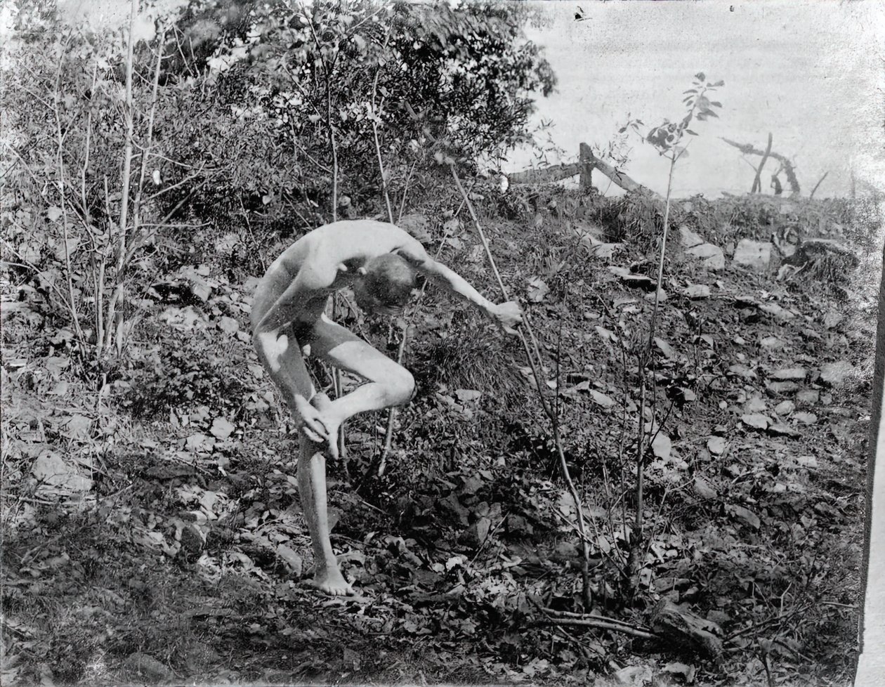 Diken Çektirme, c. 1883. by Thomas Eakins