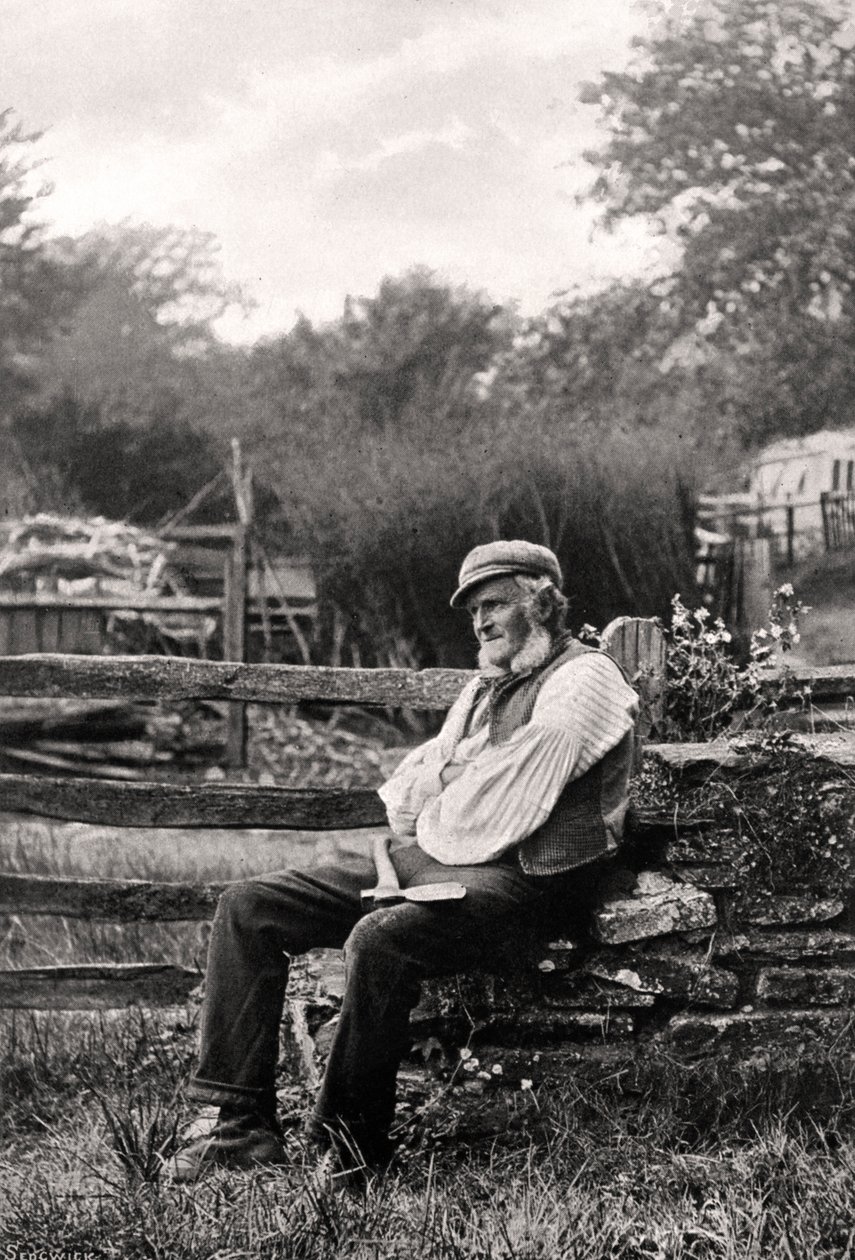 Ormancı, 1901. by Thomas Fall