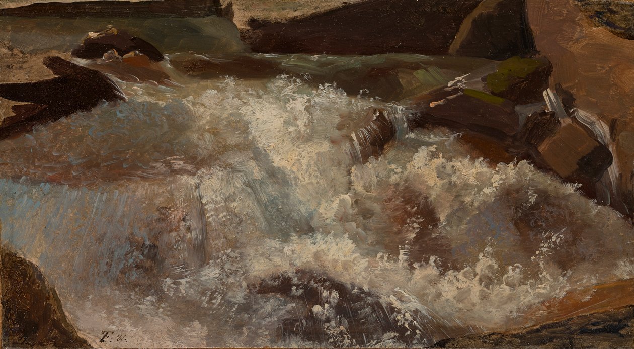 Vahşi Su. Doğa çalışması by Thomas Fearnley