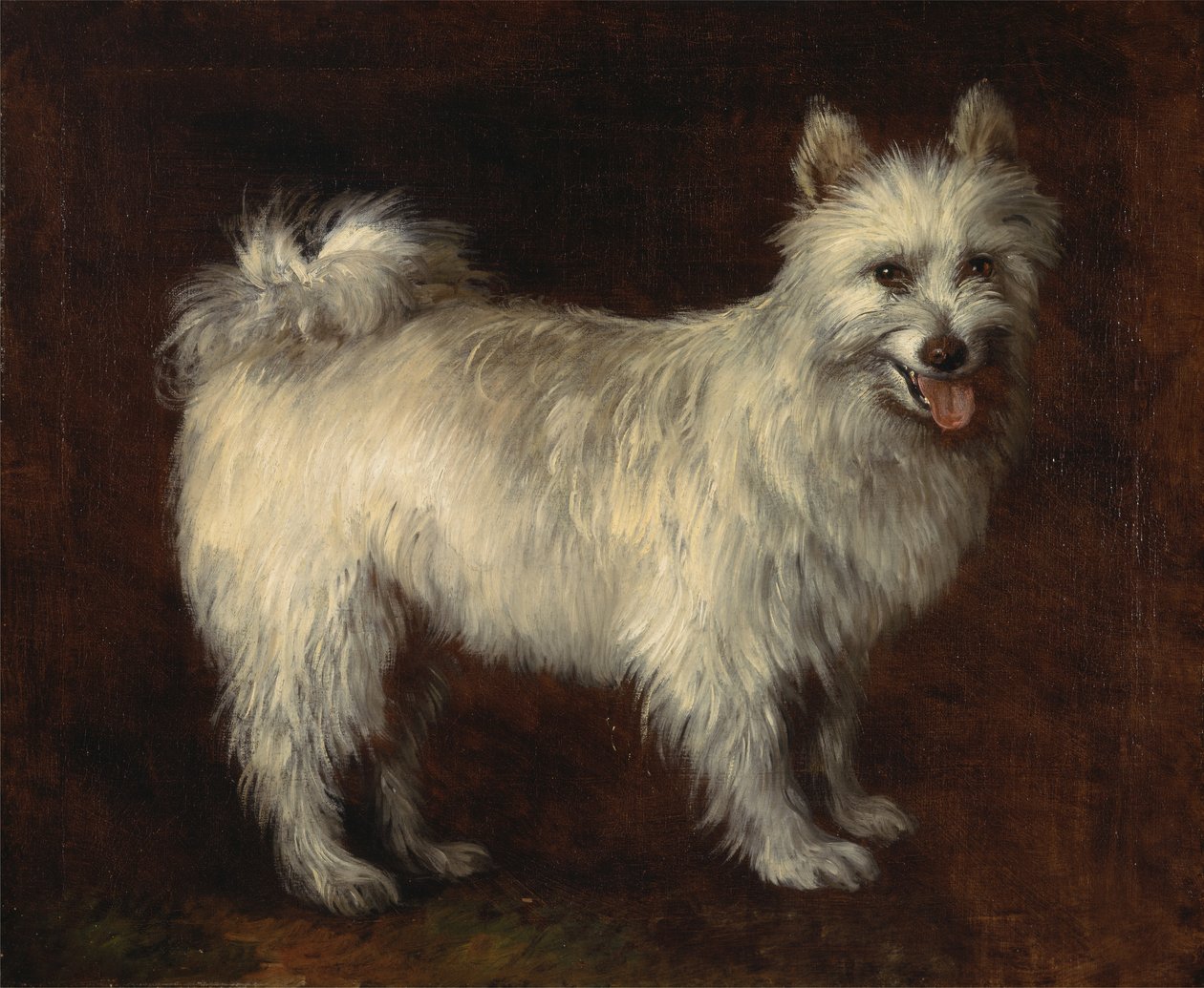 Spitz Dog,Bir Köpek, ca. 1765. by Thomas Gainsborough