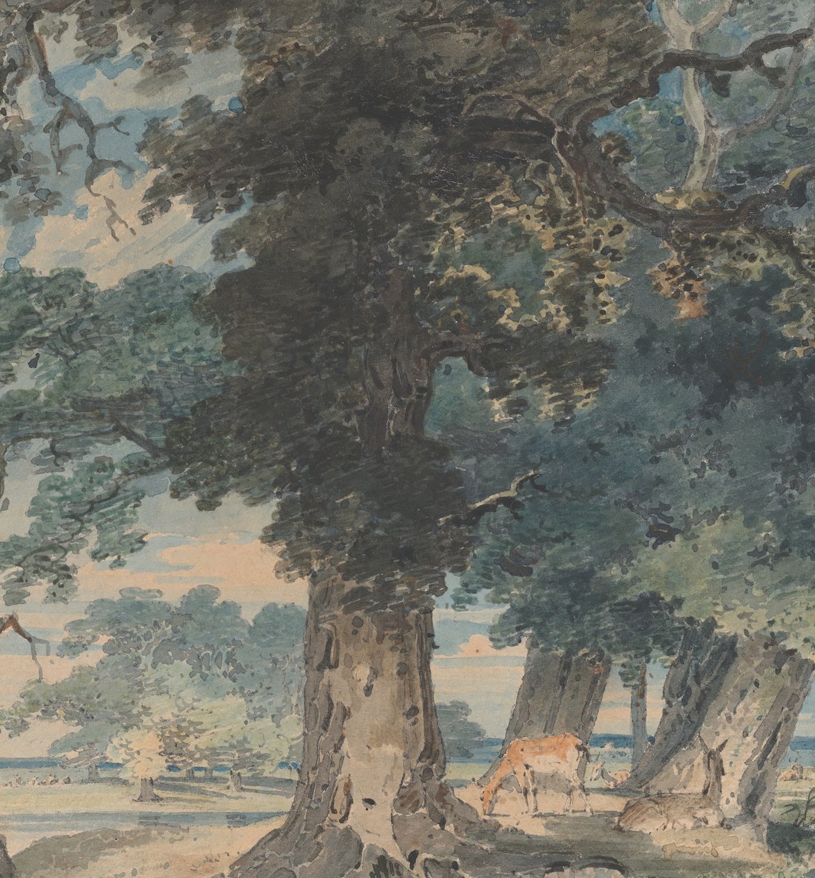 Windsor Ormanında Geyik, 1793-94. by Thomas Girtin