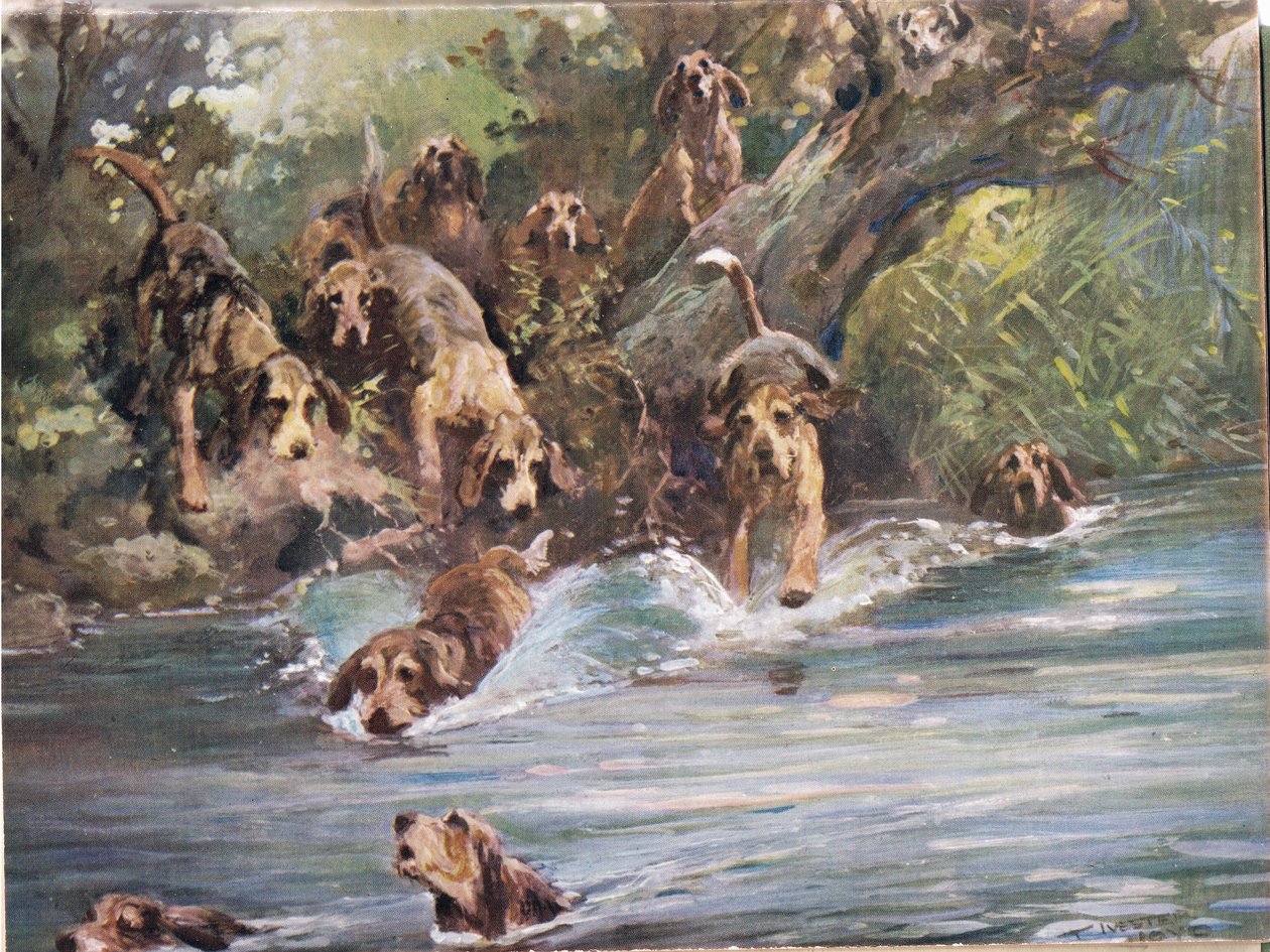 Into the River, 