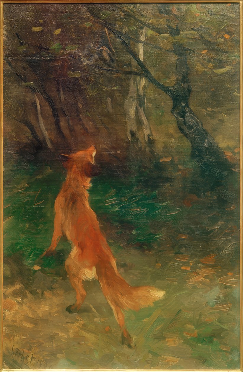 Fox bir kuş izliyor by Thomas Ludwig Herbst