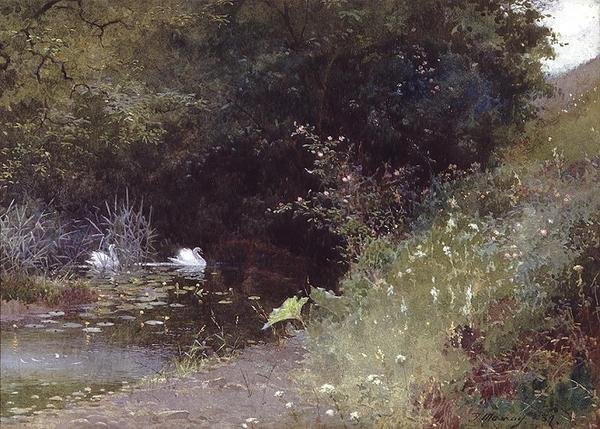 Kuğular bir gölde by Thomas Mackay