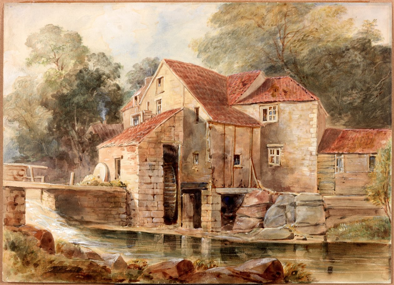 Değirmen, Jesmond Dene (gövde rengi) by Thomas Miles Richardson