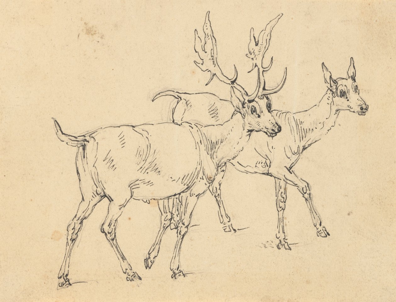 Albüm Çizimi by Thomas Rowlandson