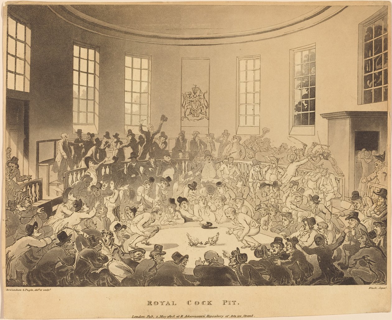 Kraliyet Kokpiti by Thomas Rowlandson