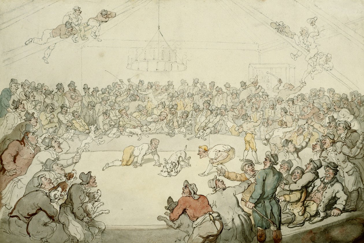 Westminster Pitt, 1798 by Thomas Rowlandson