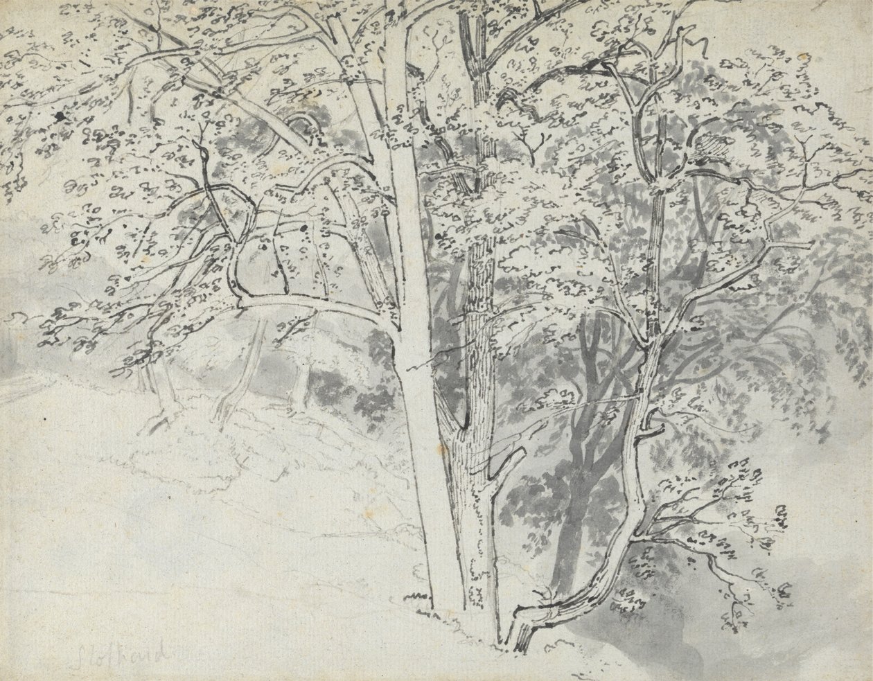 Ağaçların İncelenmesi by Thomas Stothard