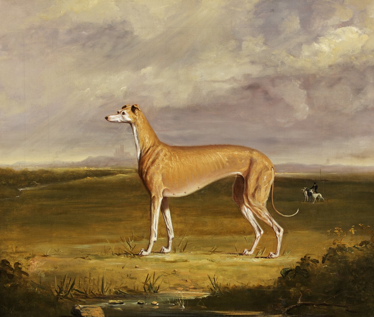 Tazı, 1830 dolayları (tuval üzerine yağlı boya) by Thomas W. Bretland