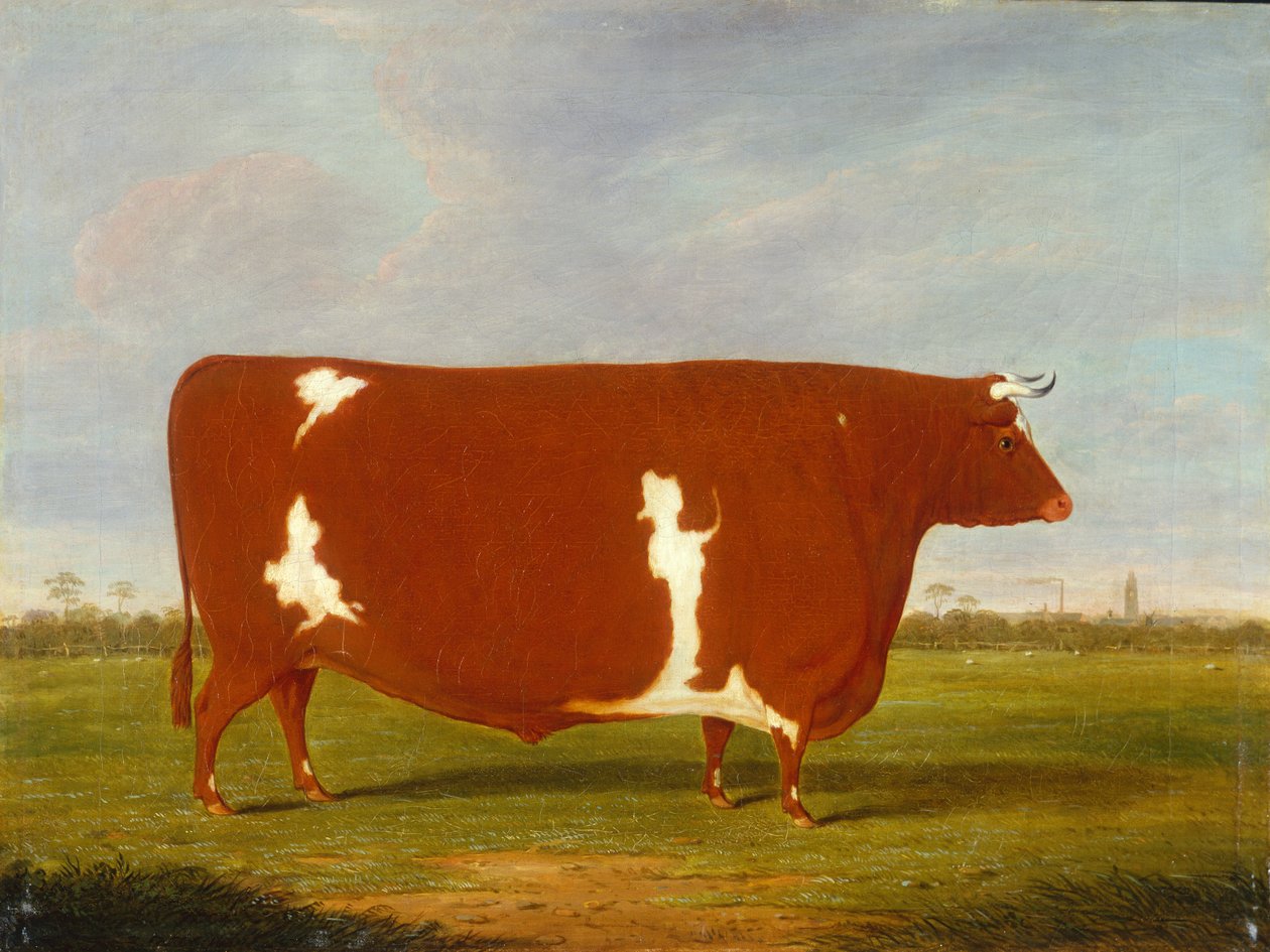 Bir Manzarada duran bir Ödül Boğası by Thomas Weaver