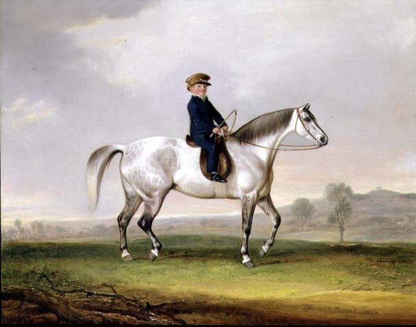 Gri Midillisinde Usta Edward Humphries by Thomas Weaver