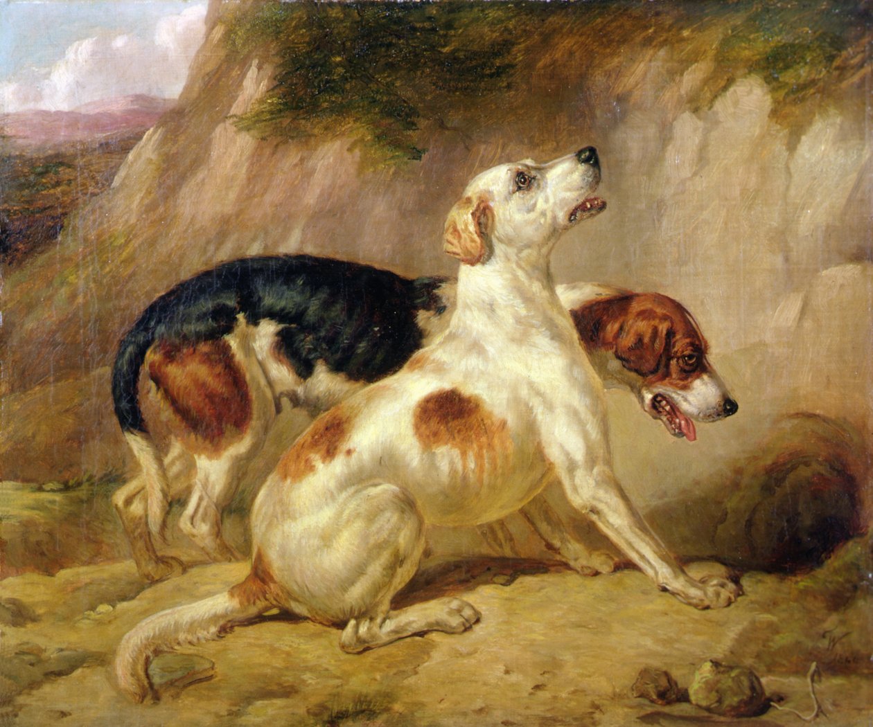 Tilki Av Köpekleri, Tilki Dünyaya Gitti by Thomas Woodward