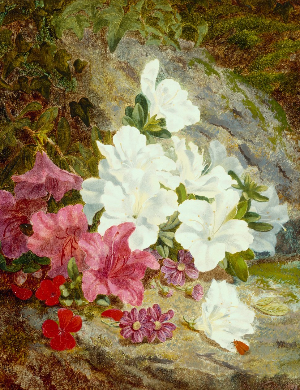 Açelyalar (tuval üzerine yağlı boya) by Thomas Worsey