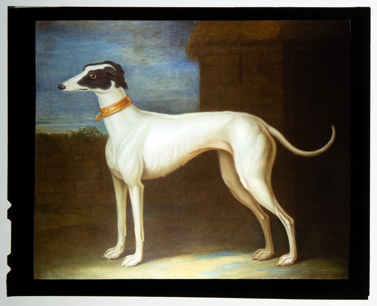  by Thomas of Pall Mall Butler