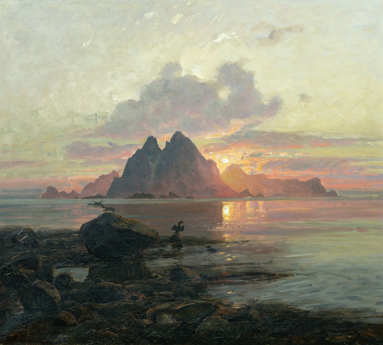 Phalacrocoarax aristotelis gece yarısı güneşinde by Thorolf Holmboe