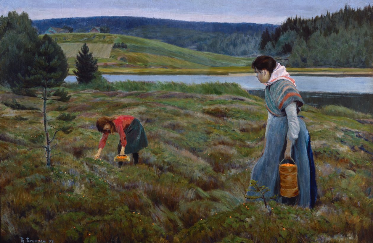 Cloudberry toplama by Thorvald Torgersen