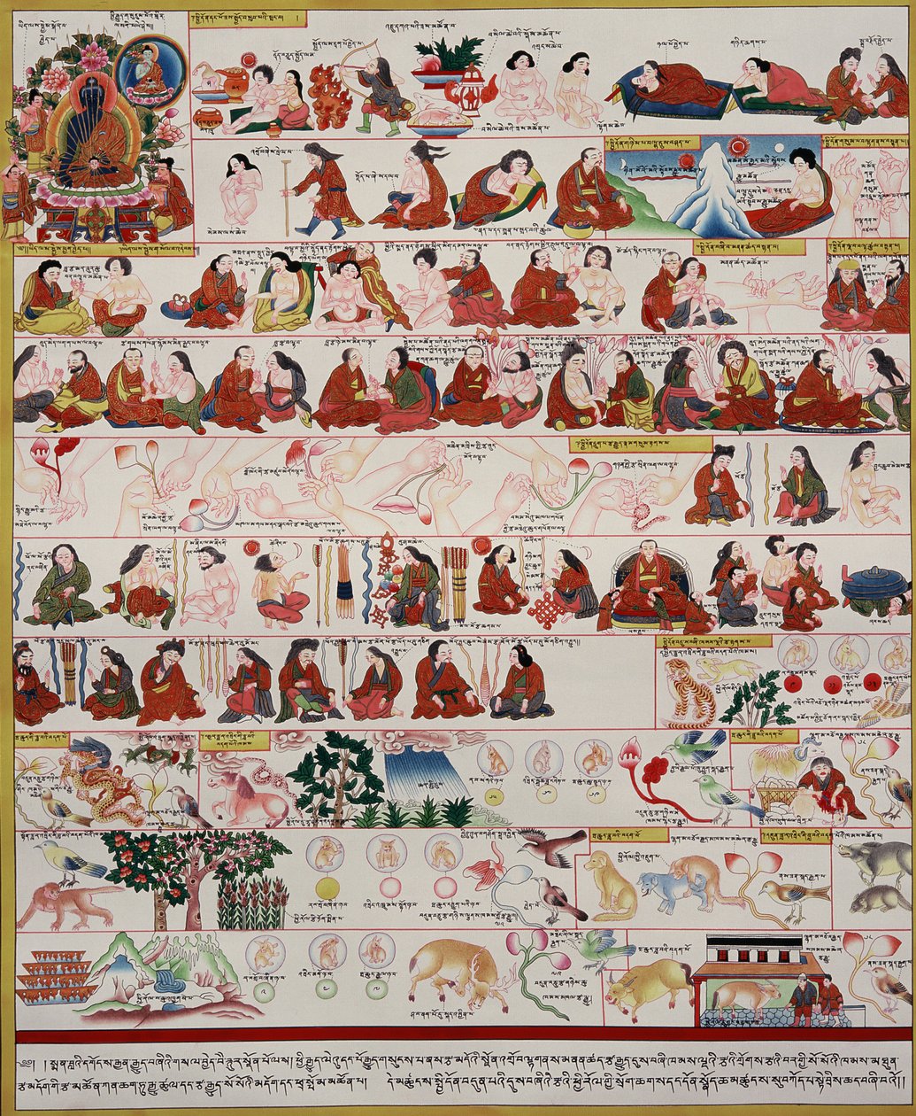 Tibet tıbbı üzerine el yazması by Tibetan School