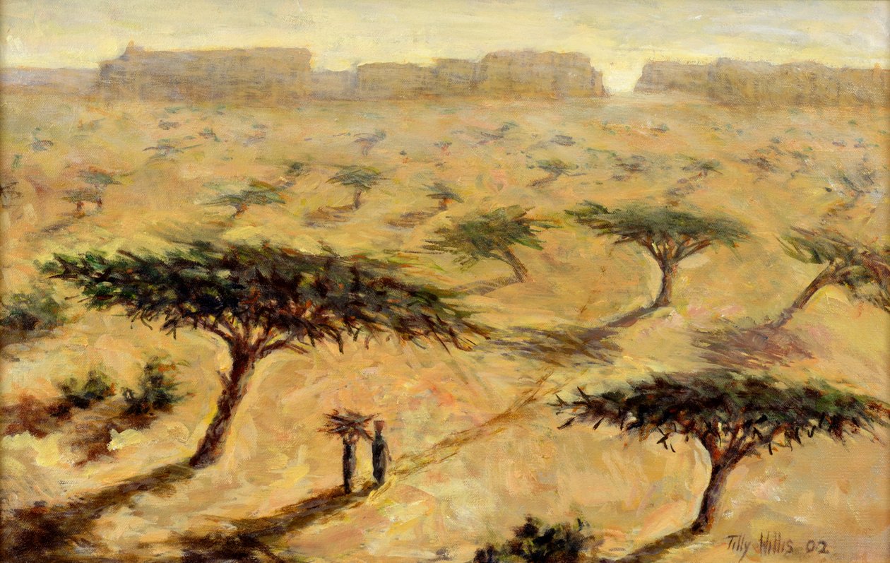 Sahel Manzarası, 2002 by Tilly Willis