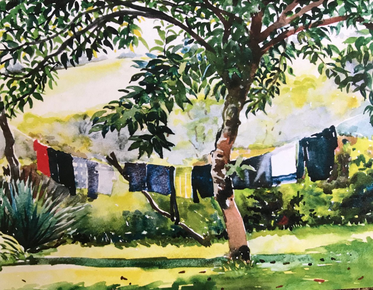 Çamaşır ipi 2017 (suluboya) by Tilly Willis