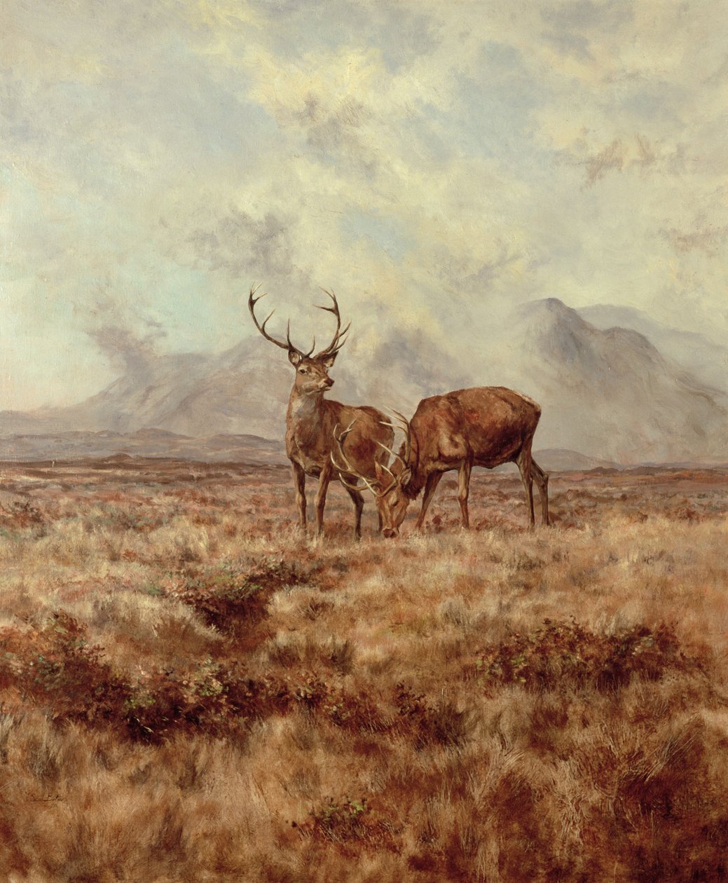 Kızıl Geyikler, Ben Buie, 1982 by Tim Scott Bolton