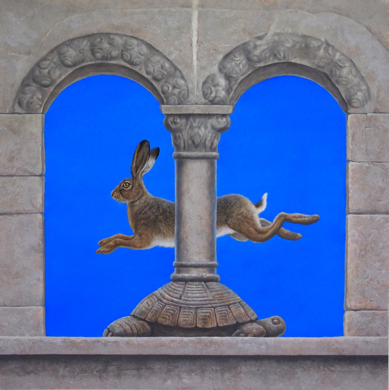 Tavşan ve kaplumbağa by Tim Hayward