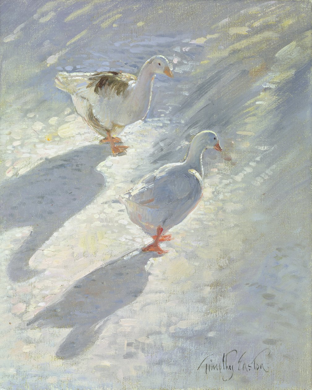 Eğime Karşı by Timothy Easton