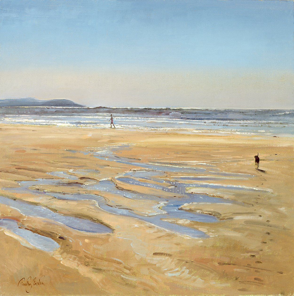 Plaj Arabaları by Timothy Easton