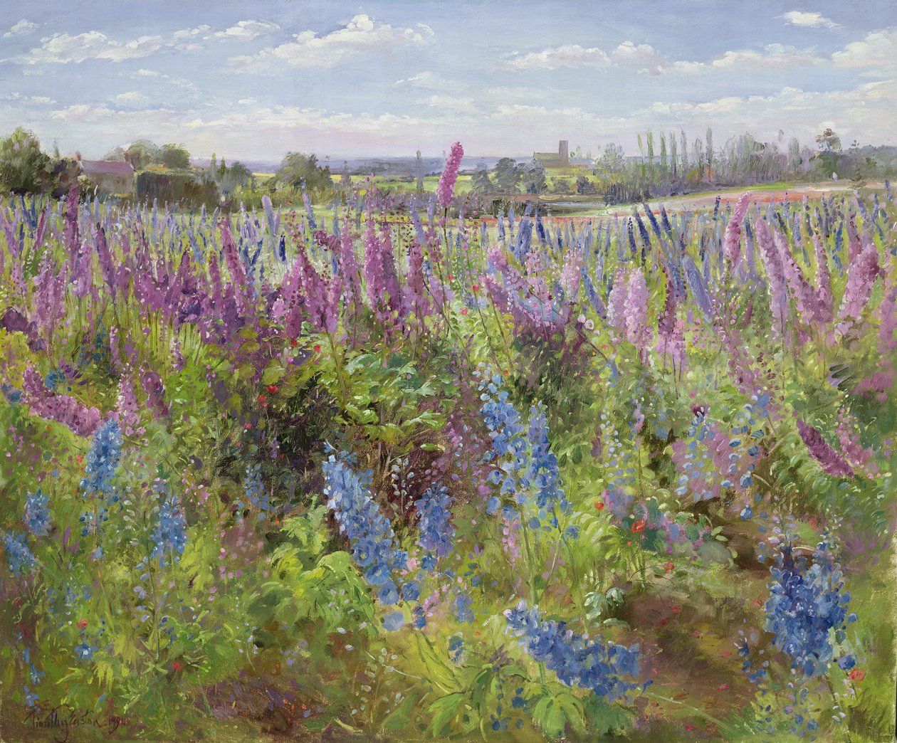 Delphiniums ve Gelincikler, 1991 by Timothy Easton