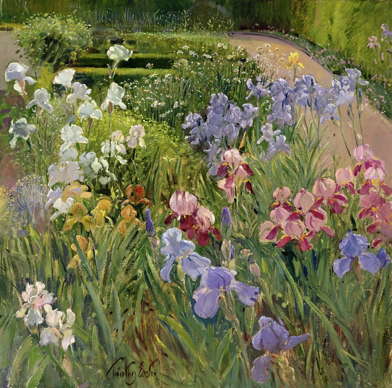 Bedfield