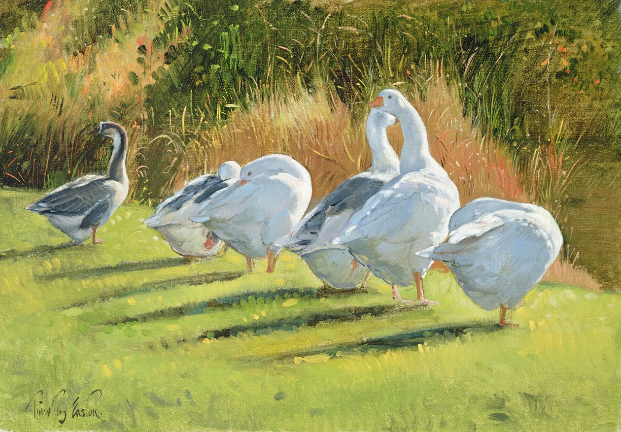Hendek Kenarı, Bedfield by Timothy Easton