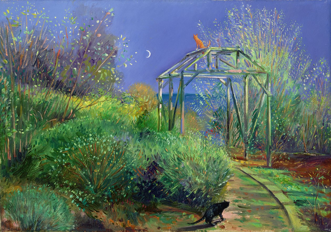 gece eğlenceleri by Timothy Easton