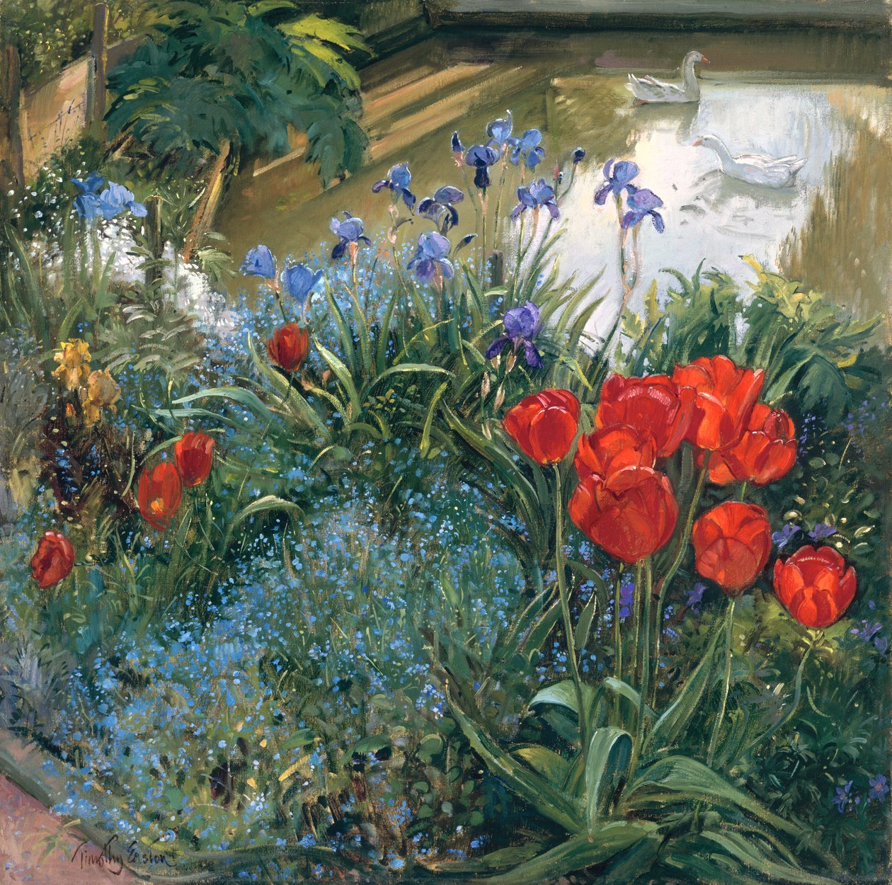 Kırmızı Laleler ve Kazlar by Timothy Easton