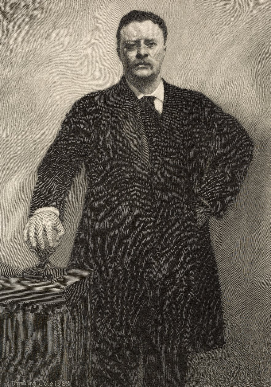 Theodore Roosevelt, 1928 by Timothy Cole