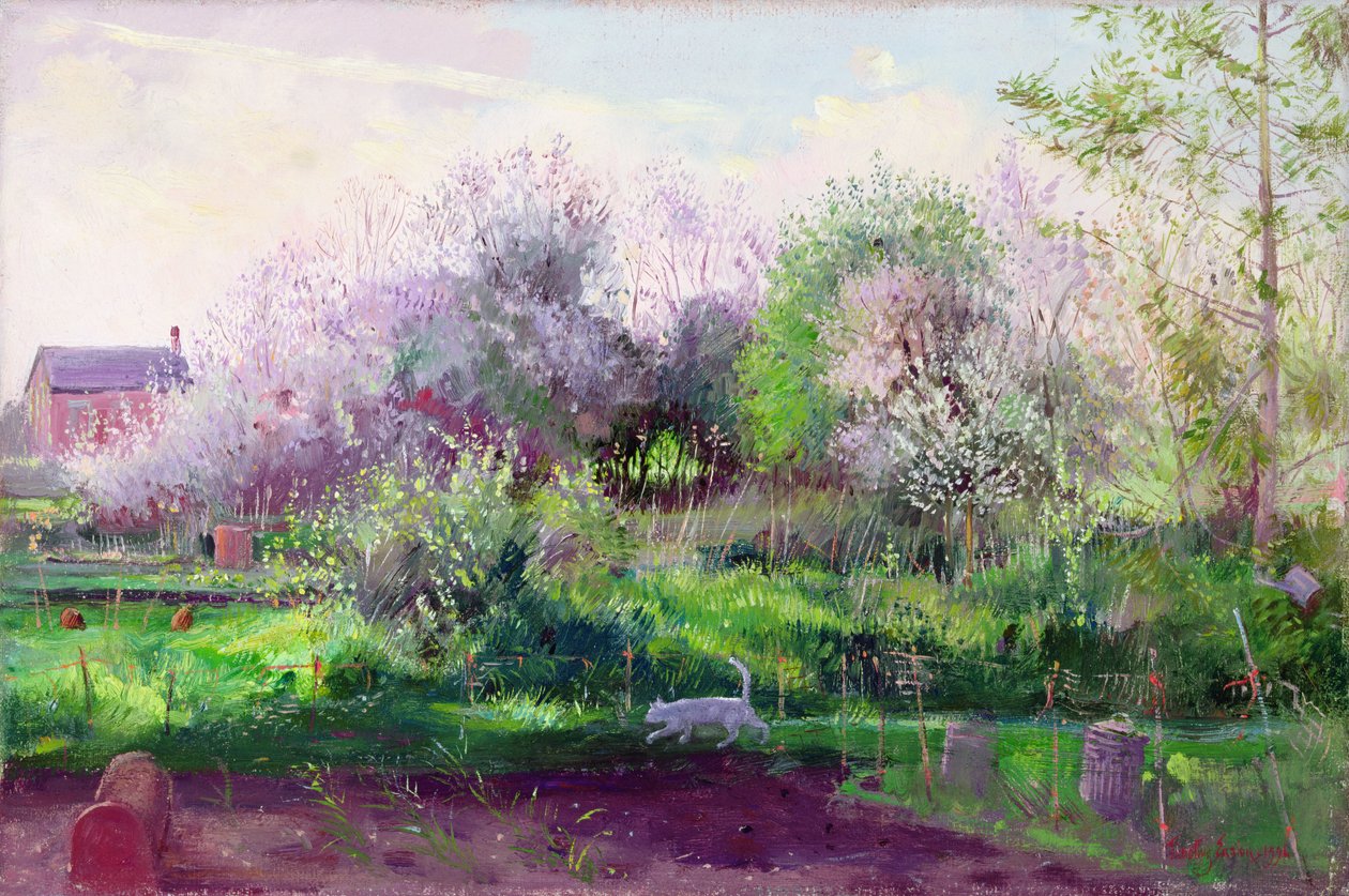 tahsis takipçisi by Timothy Easton