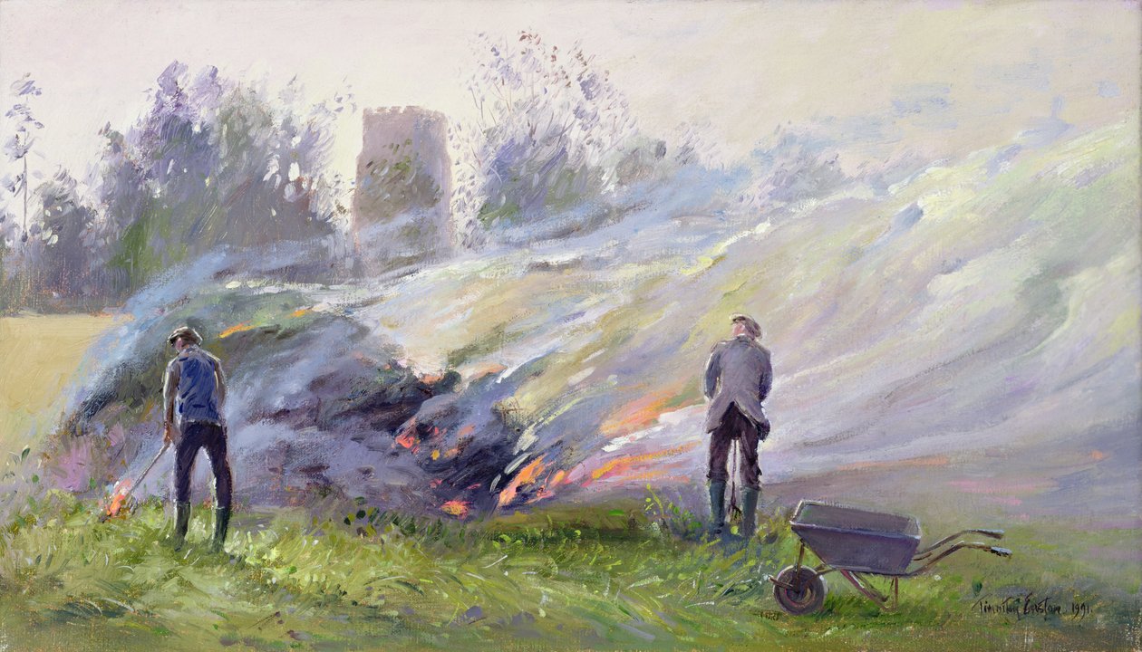 sonbahar şenlik ateşi by Timothy Easton