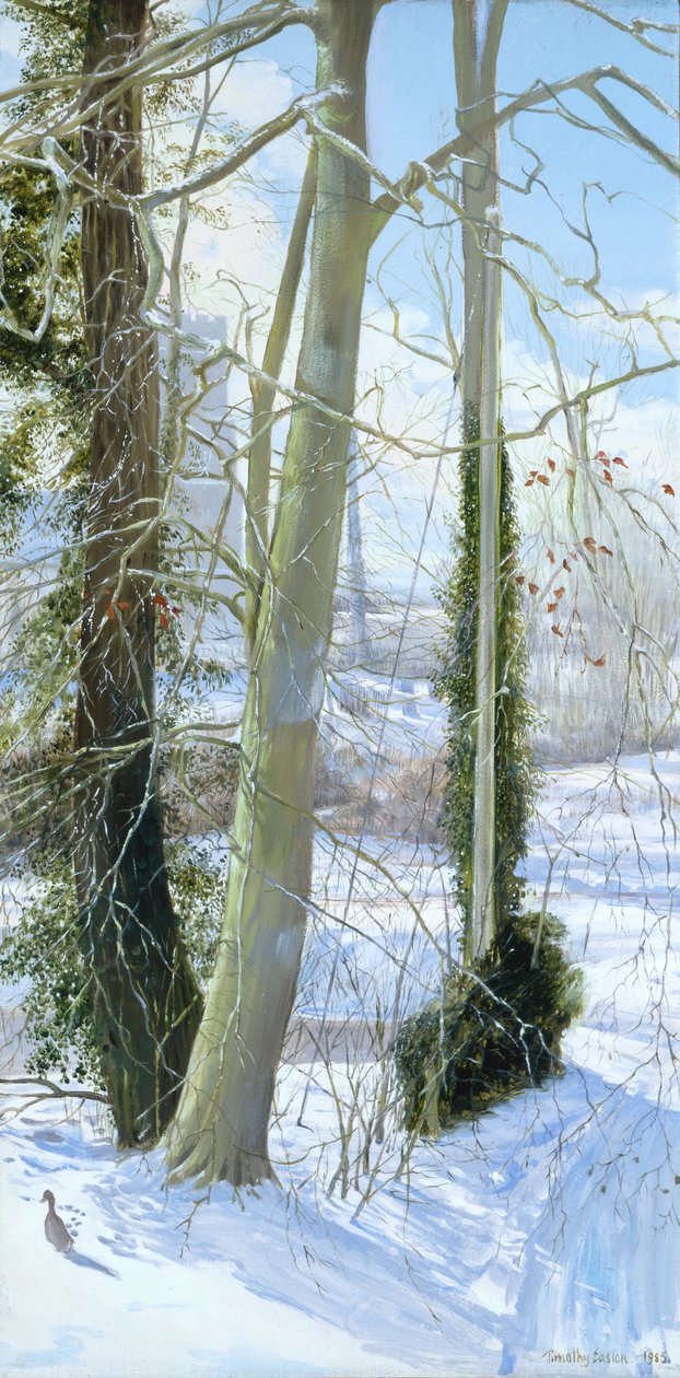 Kışın Üç Ağaç by Timothy Easton