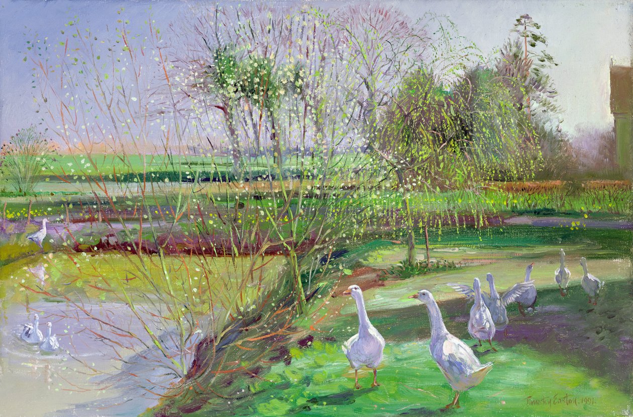 Söğüt ve Kazlar by Timothy Easton